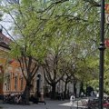 Na platou i di-džej i pozorište: Kulturni centar Pančeva pripremio besplatan program za građane