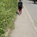 Prskanje protiv ambrozije na četiri lokacije u Nišu početkom sledeće nedelje