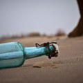 Hrvatica skupljala smeće na plaži u Puli, pa našla čudnu flašicu s porukom: Pročitala je 1 reč i dobila novac