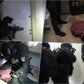 Otvorili vrata, specijalci uleteli, opkolili ih, pobacali na pod Pogledajte snimak hapšenja zbog pokušaja ubistva kik-boksera…