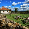 Ministarstvo poljoprivrede raspisalo konkurs za razvoj ruralne infrastrukture