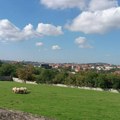 Danas pretežno sunčano i toplije