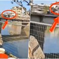 Jezive scene! Otac se posvađao sa majkom pa u besu bacio dete u reku: Dramatični prizori na mostu obilaze svet (video)