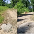 OPREZ NA CERU: Iz betona vire šipke armature na šumskom putu ka Trojanovom gradu