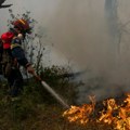 Grčka gori: Ogroman požar se širi, bukti plamen visok 30 metara - evakuisana naselja