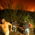 Požar na španskom ostrvu Tenerife 'podmetnut'