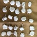 Hapšenje u Arilju, u stanu otkriveno 25 kesica amfetamina