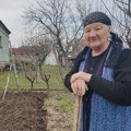 Njeni vršnjaci uživaju u penziji, a baka Radosija i dalje radi: Ima 90 godina, sama okopava baštu i ne žali se