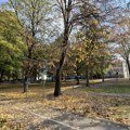 Nesvakidašnji apel direktora i škole „Njegoš“: Ne potežite veze zbog izbora učitelja đaka prvaka