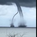Ogromna pijavica snimljena na Jadranu Jezivi prizori posle nevremena (video)