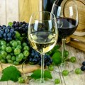 Nagrađivana vina na jednom mestu! „Vinski put-Riđica“ poziva ljubitelje dobre kapljice fešta je zakazana ponedeljak