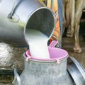 Programeri iz Srbije napravili Mlekomap: Ova besplatna platforma povezuje kupce i proizvođače mleka