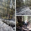 Gori četinarska šuma, pepeo na sve strane Veliki požar na Kamenoj Gori, veliki broj vatrogasca -spasioca na terenu (foto)