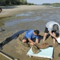 Neverovatno otkriće u Dunavu: Stanovnici sela u Bugarskoj odmah pozvali stručnjake