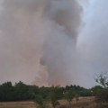 Požar u Deliblatskoj peščari i dalje aktivan: "Vojvodinašume" navode da ima trend širenja uprkos pokušajima lokalizacije