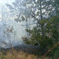 Požar u Bresnici se širi ka Jastrebcu