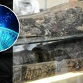 Pronađena nepoznata DNK u mumijama starim 7.000 godina: Šokantno otkriće ruši sve što smo znali o evoluciji