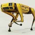 Pas-robot učestvuje u naučnoj ekspediciji na planinama jugozapada Kine