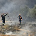 Rumunski vatrogasci stigli u Grčku: U toku je borba sa požarima oko Megare