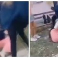 Uznemirujući snimak vršnjačkog nasilja iz Zaječara Drugarici uvrtale ruku, pa je šutirale i gazile po glavi, sve snimao drug…