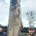 Neverovatna scena na poznatom jezeru! Ribolovac ulovio gigantsku ribu od 109 kg: "Uz mnogo borbe, uspeo sam nekako da je…
