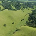 Na samo 75 kilometara od Beograda nalazi se pustinja: "Evropska Sahara" je prirodni fenomen, neverovatno izgleda