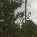 Nevreme "ugasilo" i struju na više lokacija u Nišu i okolini