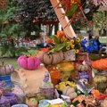 Čitav grad do nedelje slavi bundeve: U Kikindi danas počinju 38. „Dani ludaje“, program poznate turističke manifestacije