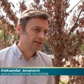 Političar Aleksandar Jovanović osumnjičen za požar na skejt igralištu u Novom Sadu