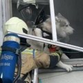 "Sve je bilo puno dima, onda smo ga videli samog i uplašenog": Herojski potez vatrogasaca, spasili psa iz stana u plamenu…