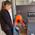 Napustila fakultet i pokrenula svoj biznis! Sada zarađuje 17.000 evra mesečno: Retko ko bi ovo uspeo