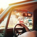 Devojke (30) automobilom udarile životinju na putu: Pokušale da joj pomognu, a onda se desilo nešto užasno