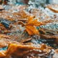Vreme danas: Ujutru mraz, tokom dana sunčano i toplije