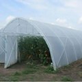 U povrtnjacima lebanske nizije hara agromafija: Na udaru plastenici sa paradajzom