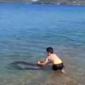 Dramatična scena s plaže u Grčkoj: Delfin zalutao do plićaka, ono što mu je jedan dečak uradio razbesnelo je mnoge (foto)