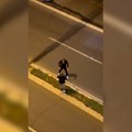 (Video) Brutalna tuča na Zvezdari: Muškarci izašli iz vozila i počeli da se udaraju nasred ulice, umešala se i devojka…