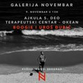 Izložba "Ajkula: 5. deo. Terapeutski centar -okean" od 9. novembra u Galeriji "Novembar"