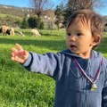 Vukašin ima tek godinu dana a razume i srpski i kineski: Roditelji objavili snimak koji topi srca (video)