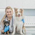 Расе паса које сви желе - сматрају их најздравијим