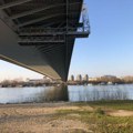 Pomor ribe u Čukaričkom rukavcu zbog višegodišnjeg nemara, upozorava Beograd u pokretu