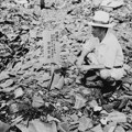 Nagasaki, osamdeset godina kasnije: Razbijanje mita o bombi koja je okončala rat