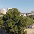 Pretežno sunčano, tokom dana do 32 stepena