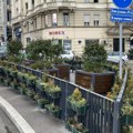 Dekoraciji nije mesto nasred puta: Žardinjere kod Zelenog venca smanjuju preglednost u saobraćaju