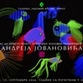 Izložba fotografija Andreja Jovanovića