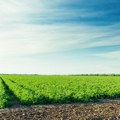 Cene poljoprivrednog zemljišta u Sloveniji među najvišima u EU: Najpristupačnije u Hrvatskoj