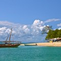 Osmoro dece i jedna majka umrli na Zanzibaru nakon što su pojeli morski delikates