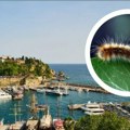 Srpski turisti hrle u ovo tursko mesto, a tamo najezda opasnih dlakavih gusenica Oglasili se stručnjaci: Izazivaju osipe i…