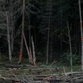 Meštani sela kod Šapca na nogama! Stari strah se vratio, nakon kiše u blatu zatekli nešto što ih je sledilo (foto)