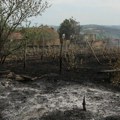MUP: Za deset dana 1.500 požara u Srbiji, nikad ih nije bilo toliko