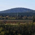 Odbegli bizon vraćen u ograđeni deo Nacionalnog parka Fruška gora
